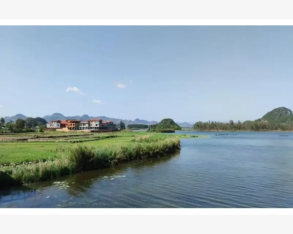 宝宝脾胃调理有方法，科学喂养助力快速长肉